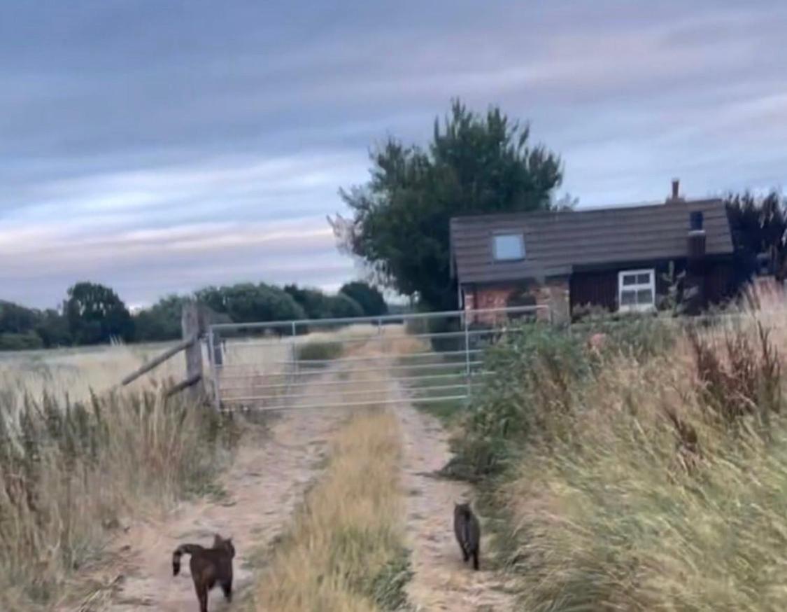 Lincoln Holiday Retreat Little House With Private Hot Tub Екстериор снимка